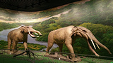 和政古生物化石文旅旅游区·古动物化石博物馆