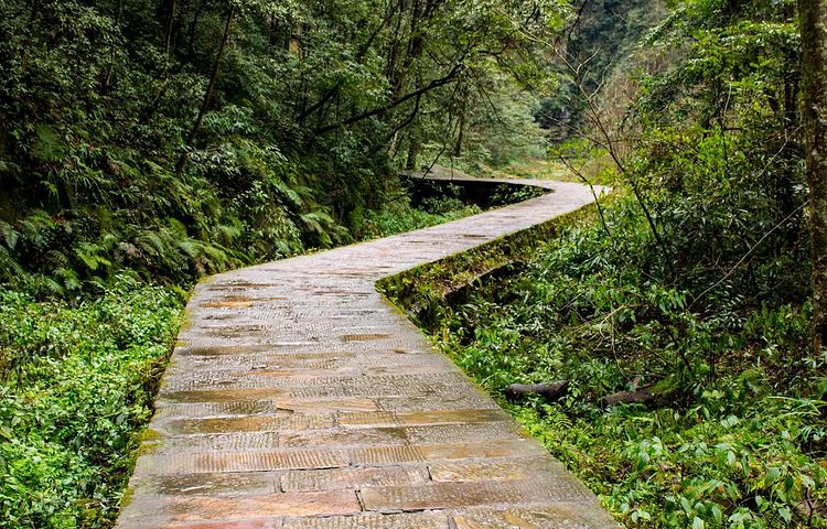 武陵源风景名胜区-砂刀沟