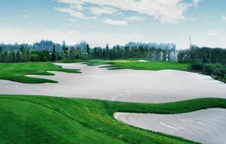 艾力枫社-高尔夫