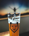 Brass Bear Brewing & Bistro