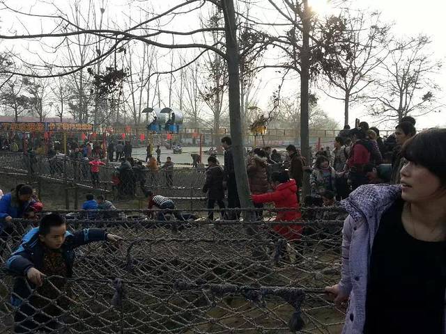 淘气猫(淯阳桥店)