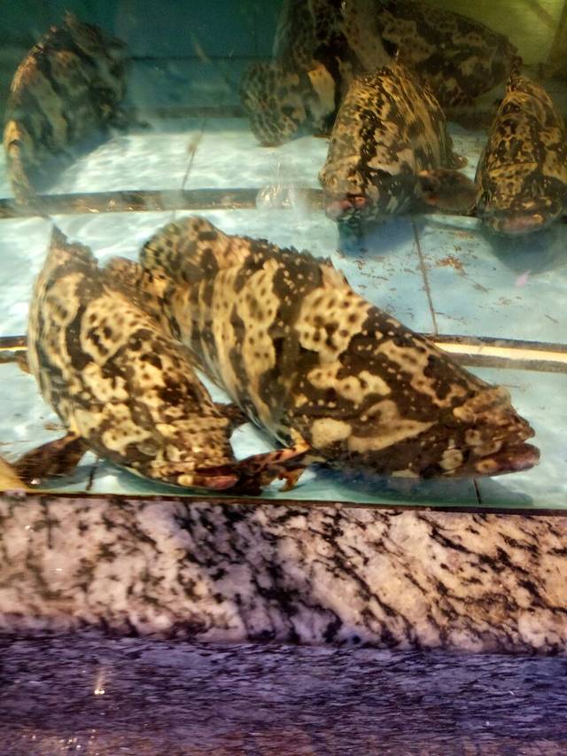 安庆人家(天赐良园店)