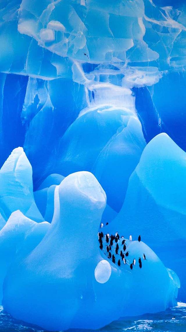 喵仙生煎(华大店)