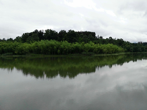 新蒲湿地公园旅游景点图片
