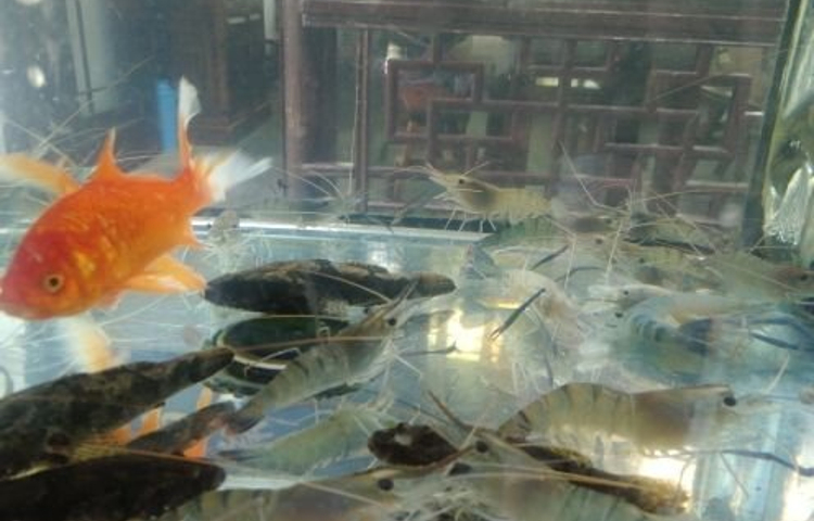 三元楼(周庄店)