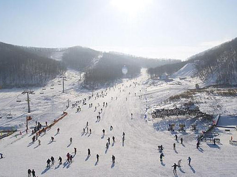 塞罕坝滑雪场旅游景点图片