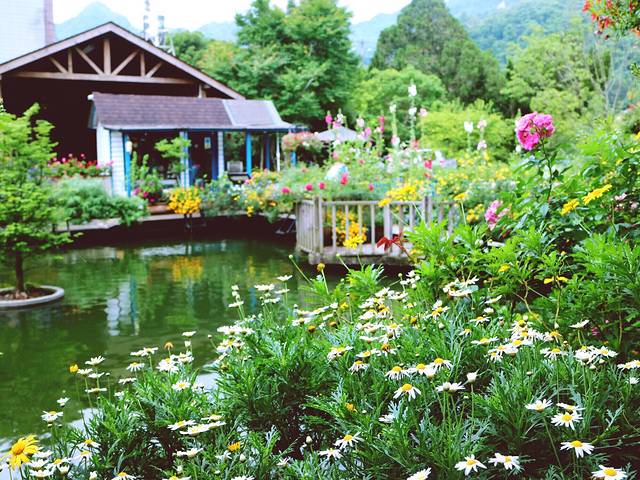 南庄山芙蓉咖啡