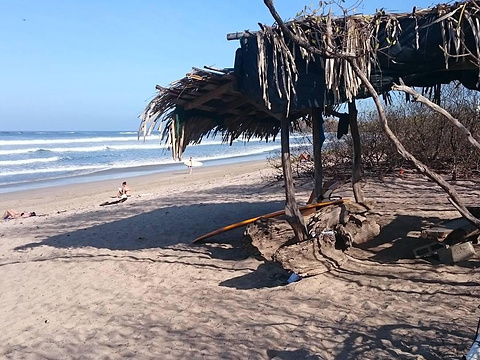 Nosara Beach (Playa Guiones)旅游景点图片