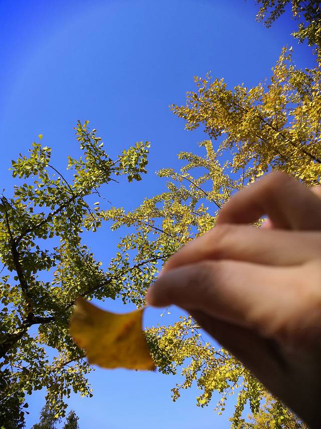 中国药科大学江宁校区