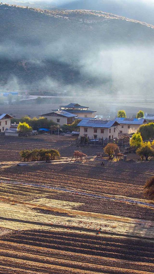 一品牛肉汤馆(七一路店)