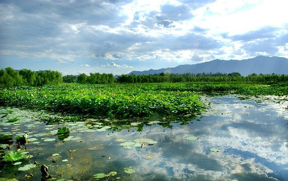 翠湖国家城市湿地公园旅游景点图片