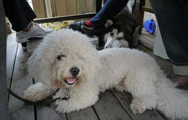 甘尼仕印度餐厅酒吧(月光码头店)