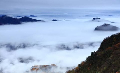 光雾山旅游景区旅游景点攻略图