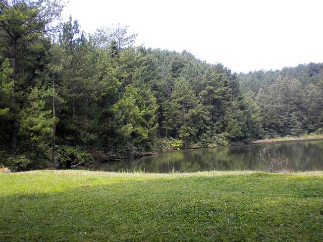 天马山国家森林公园