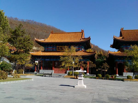 佛教文化艺术馆旅游景点图片