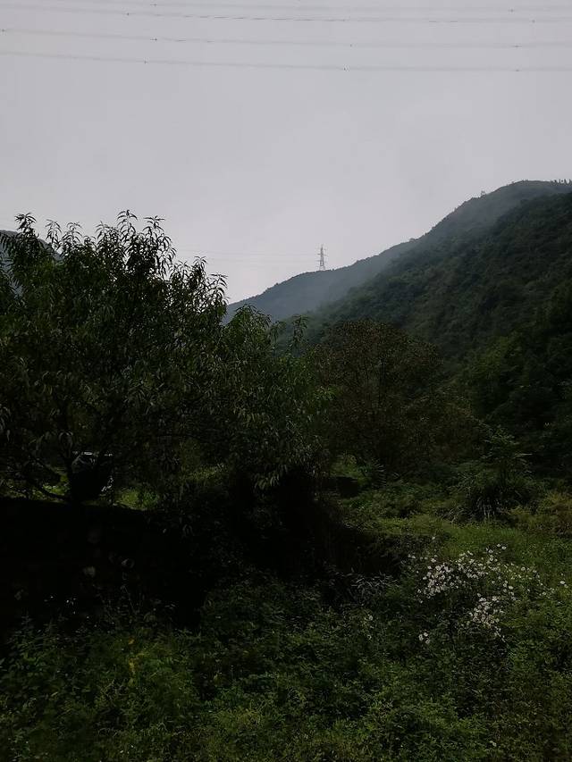 绵阳焦鸭子宾馆(安州店)