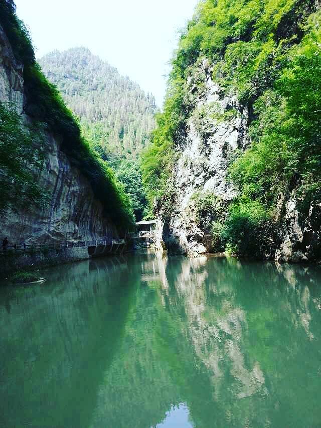 陇南西狭颂摩崖