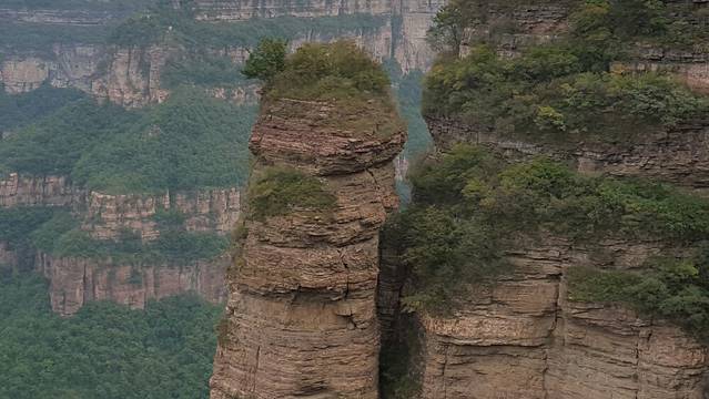 庞记桶子鸡烧鸡