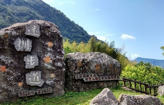 21阿里山乡迷糊步道 旅游攻略 门票 地址 问答 游记点评 阿里山旅游旅游景点推荐 去哪儿攻略