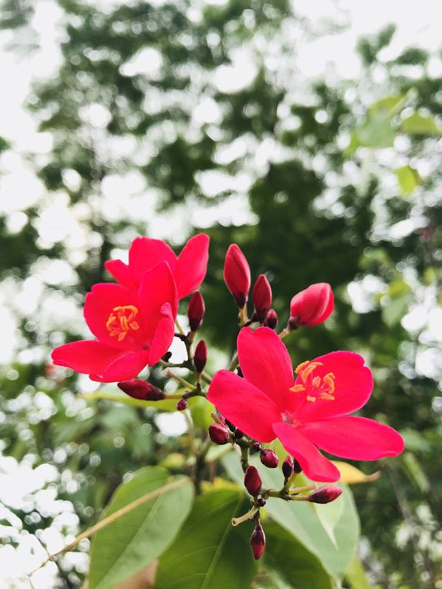 海南清水湾假日度假酒店·球道酒廊