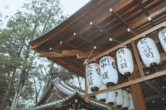 冈崎神社旅游景点图片