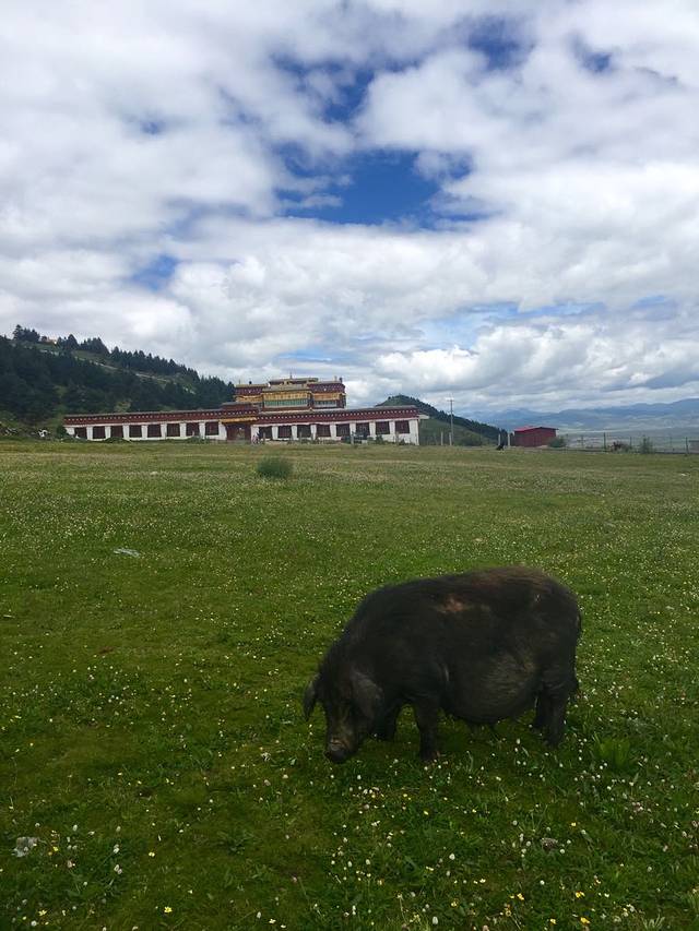 扎嘎神山风景区