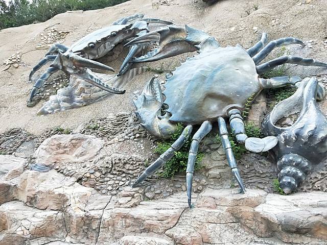 棒棰岛风景区-滨海怪坡
