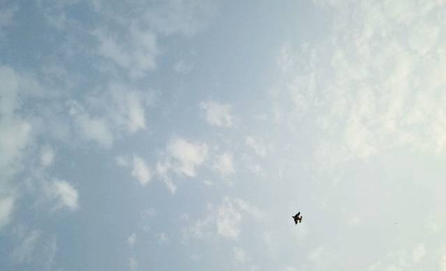 渭河城市运动公园