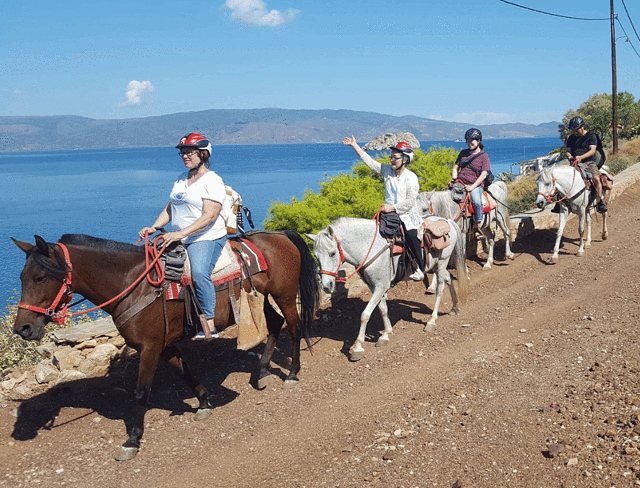 Harriets Hydra Horses