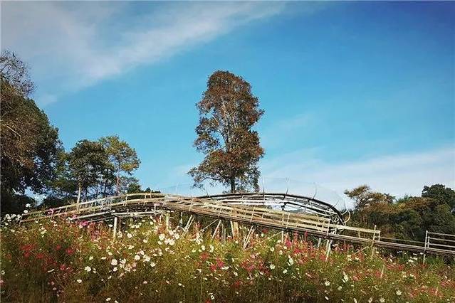 清迈博岩丛林飞跃