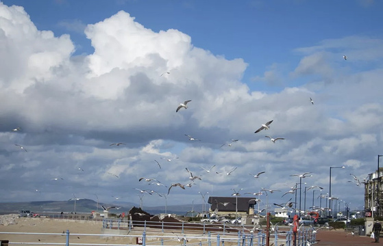 Seaham Beach旅游景点图片