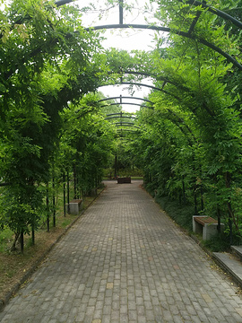 上海交通大学-植物园