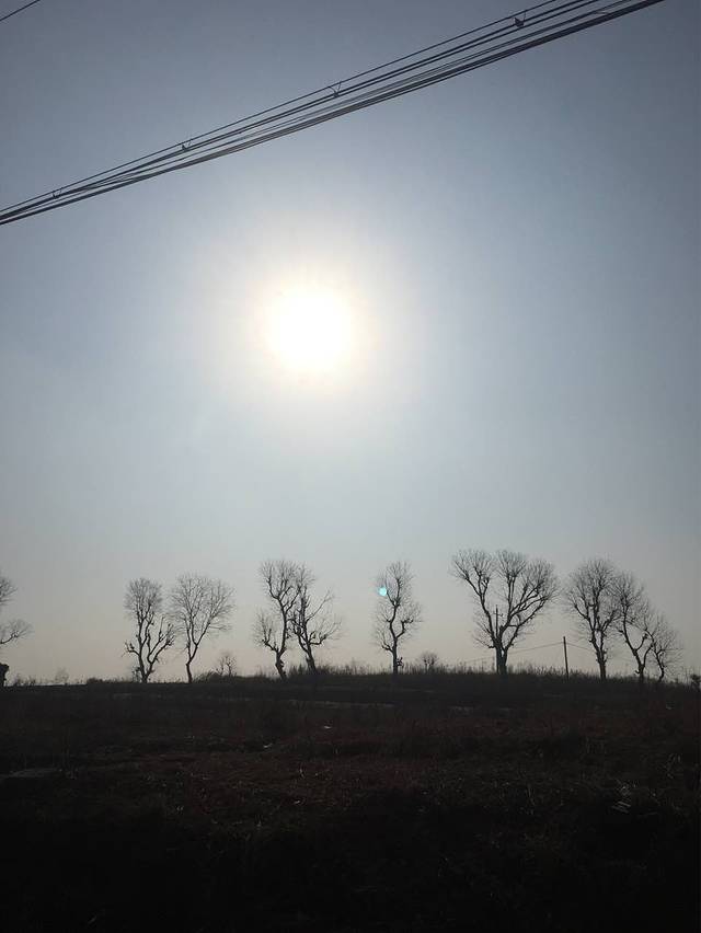 周黑鸭(武汉武昌区和平大道新一佳店)