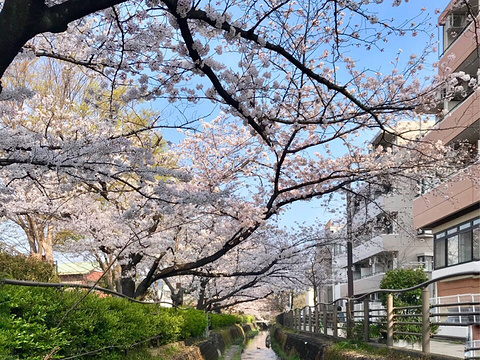 二ヶ領用水宿河原堰取水口旅游景点图片