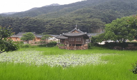 Seochulji Pond in Gyeongju