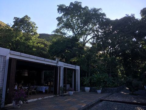 Restaurante Hacienda del Bosque的图片