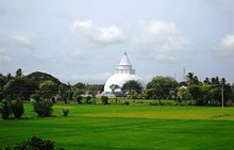 蒂瑟默哈拉默大佛塔