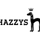 HAZZYS(银座玉函经十路综合店)