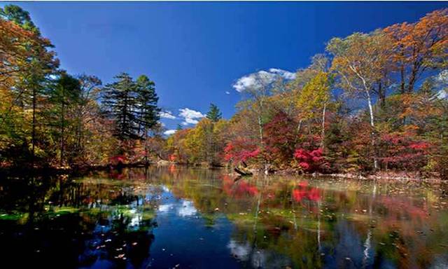 吉林延边仙峰国家森林公园