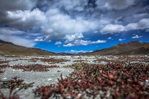 西藏羊湖荒地星空营地