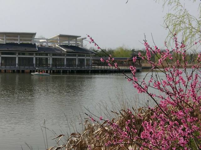 天长市红草湖湿地公园