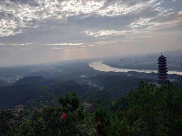 杨仙岭