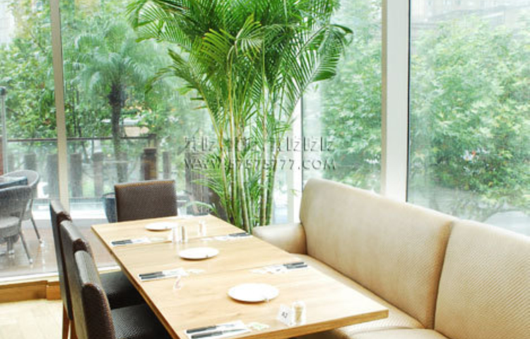 拉蒂娜·巴西牛排馆Latina·Brazilian Steakhouse (陆家嘴店)