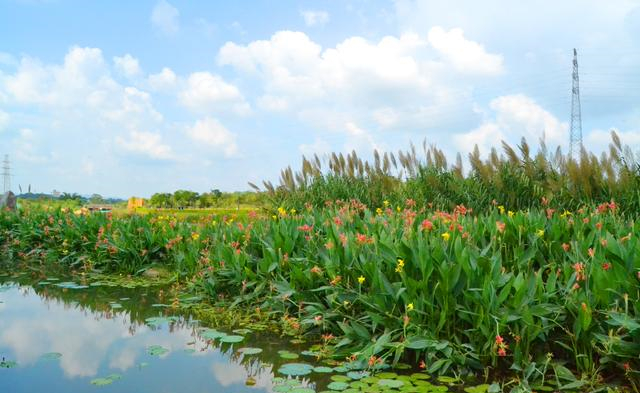 那考河湿地公园