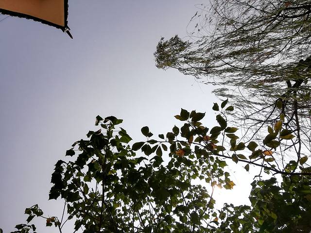 长沙石燕湖生态旅游景区-丛林穿越