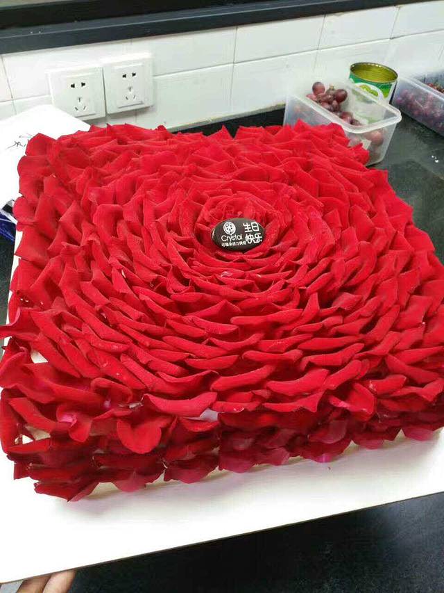 可瑞朵活力烘焙(北桥海天阁店)