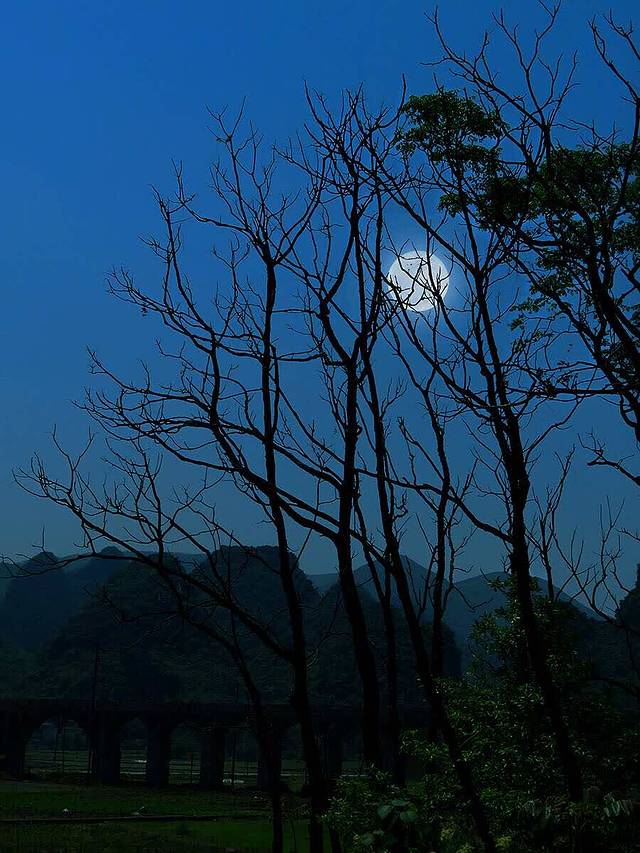 乡村基(江北区五里店餐厅)