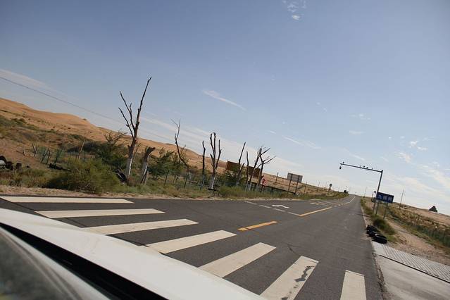 九棵树沙漠景区