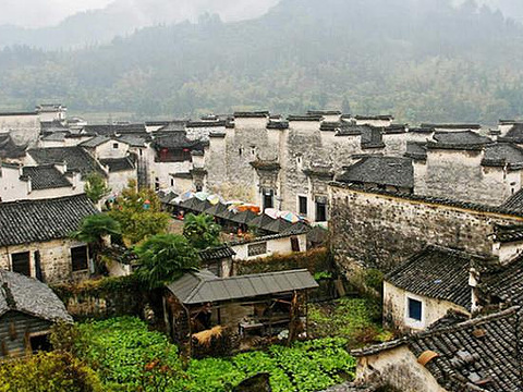 屏山村