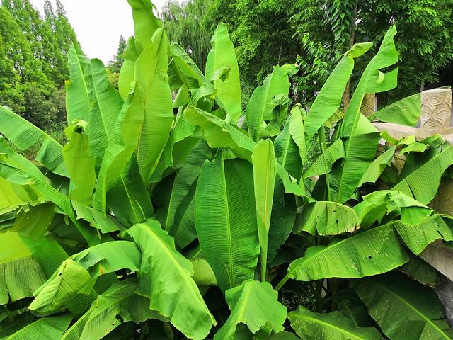 仙女山观光火车站